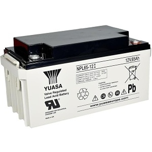 Image of NPL65-12I